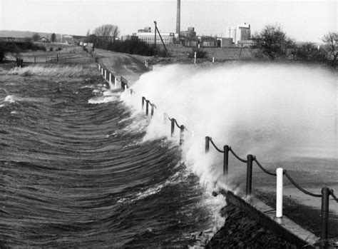 Flut .